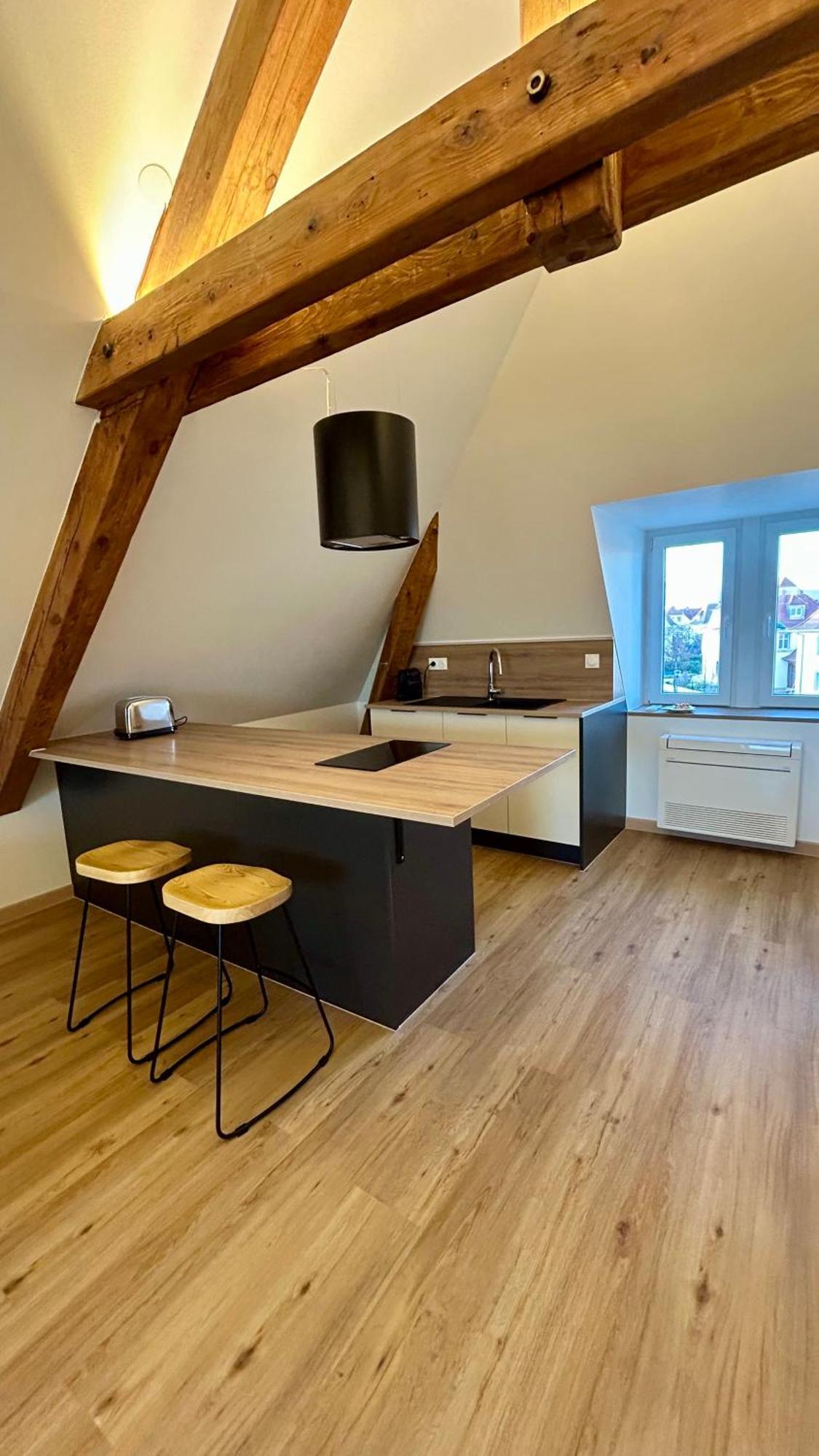 Appartement Moderne Et Spacieux, A 10 Min De La Gare Colmar Exterior foto