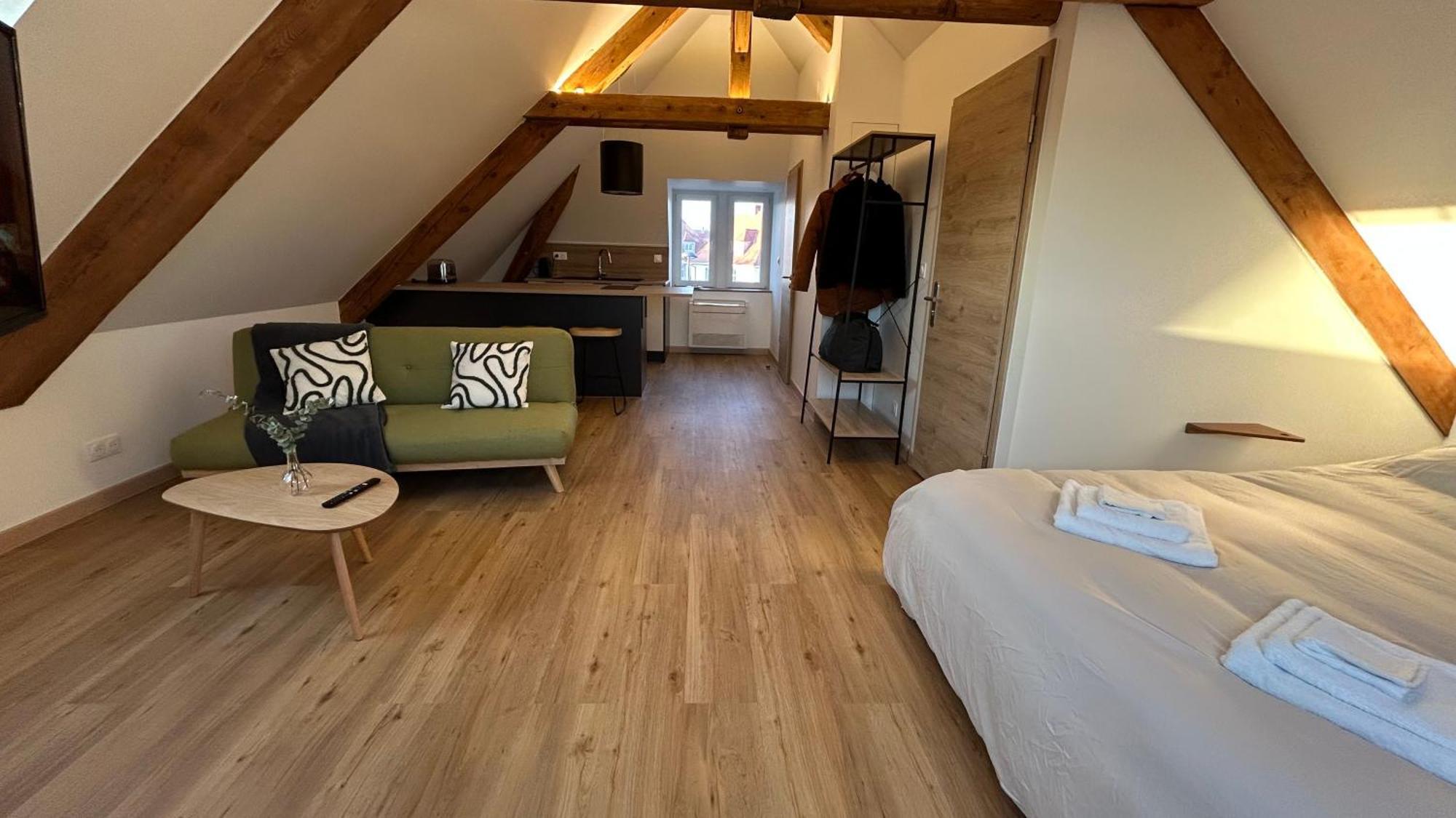 Appartement Moderne Et Spacieux, A 10 Min De La Gare Colmar Exterior foto